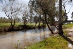 Jordan-River